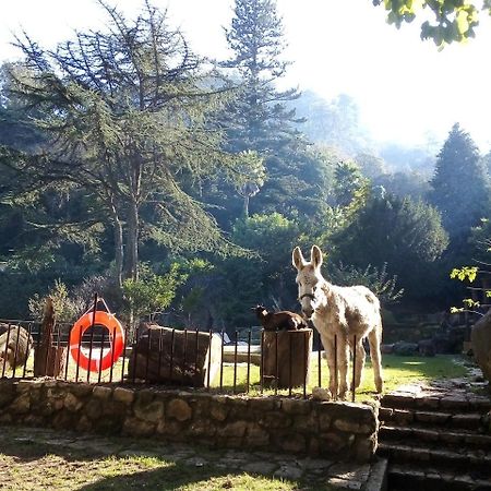 Quinta Do Castanheiro Hotel Sintra Ngoại thất bức ảnh