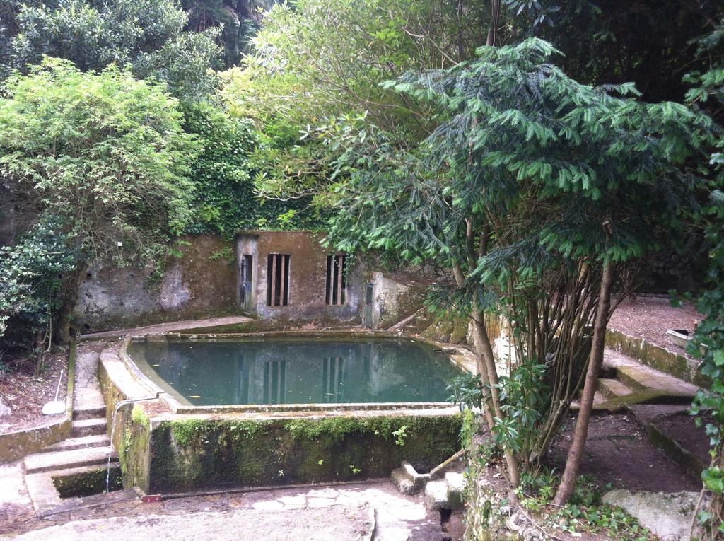 Quinta Do Castanheiro Hotel Sintra Ngoại thất bức ảnh