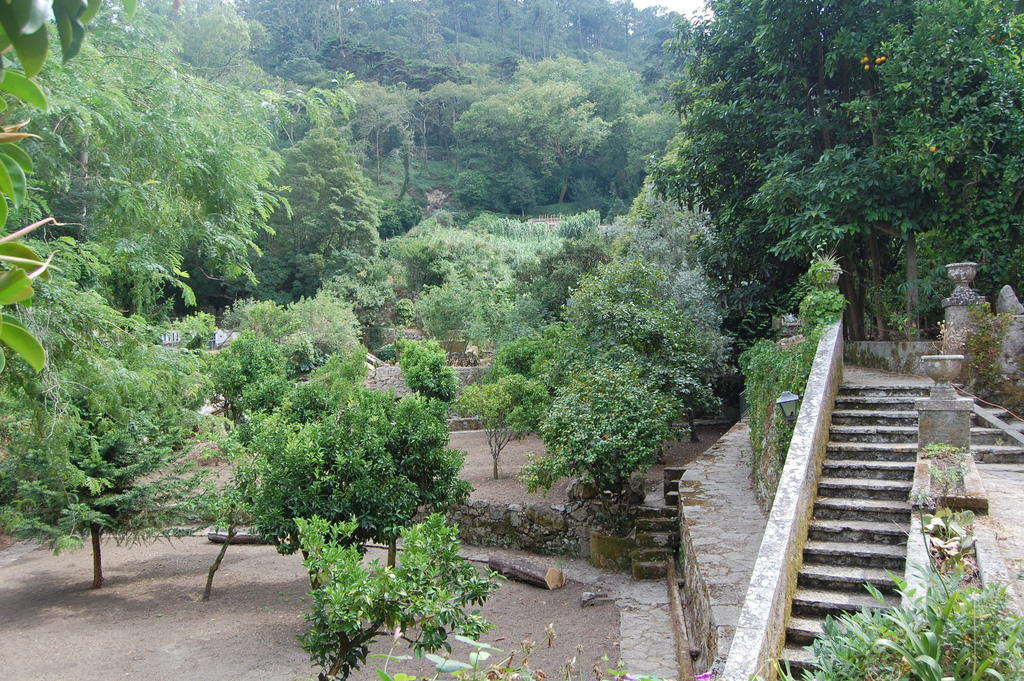 Quinta Do Castanheiro Hotel Sintra Ngoại thất bức ảnh