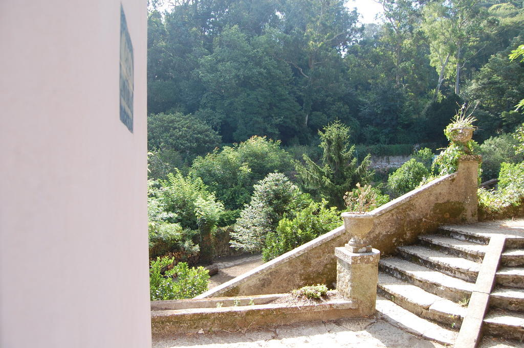 Quinta Do Castanheiro Hotel Sintra Ngoại thất bức ảnh