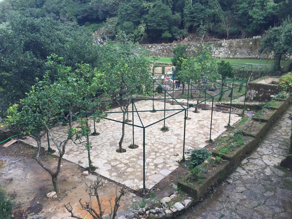 Quinta Do Castanheiro Hotel Sintra Ngoại thất bức ảnh